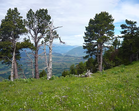 PXL037 Alpage de Courtet