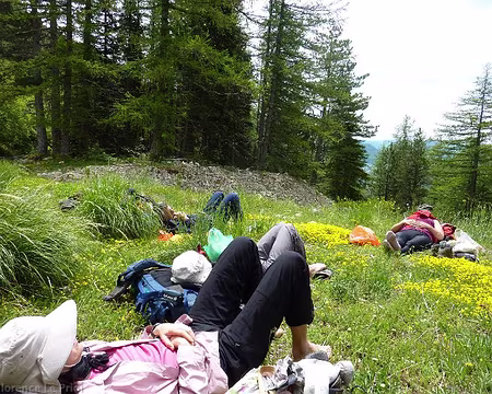 P1060640z987 micro-sieste