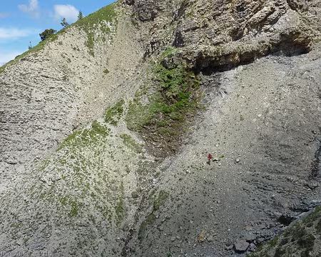 P1060771 mais si il y a un chemin