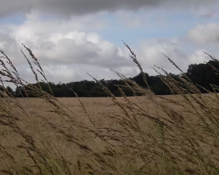 PXL001 pour atteindre un objectif qui