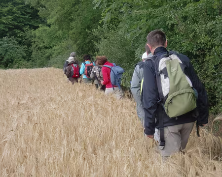 PXL005 poétique, comme en propose