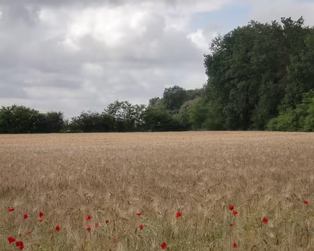 PXL006 souvent Marylise.