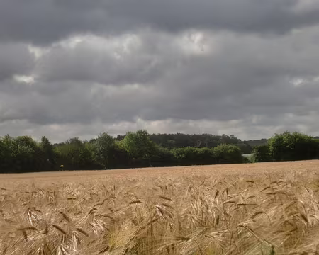 PXL010 l'épaisseur des nuages