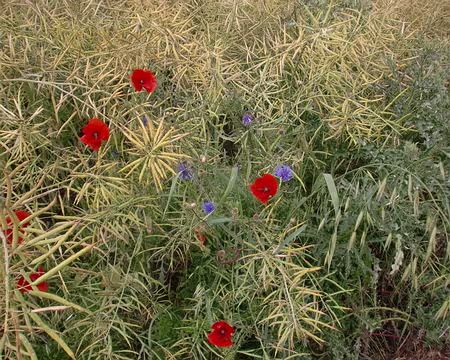 PXL013z988 une certaine