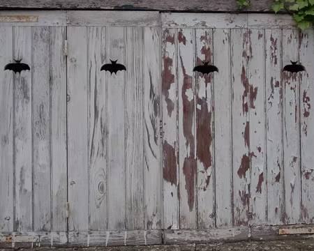 PXL041 que petit à petit,