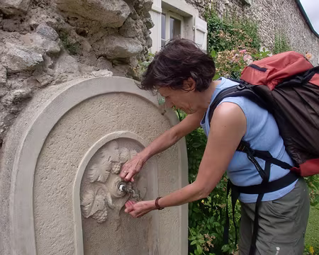 PXL043 de grappes de raisin,