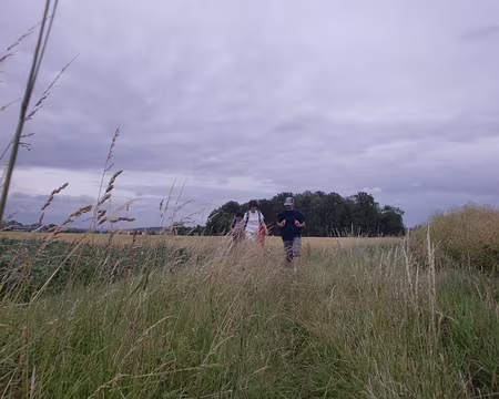 PXL050 ultime dans les herbes hautes