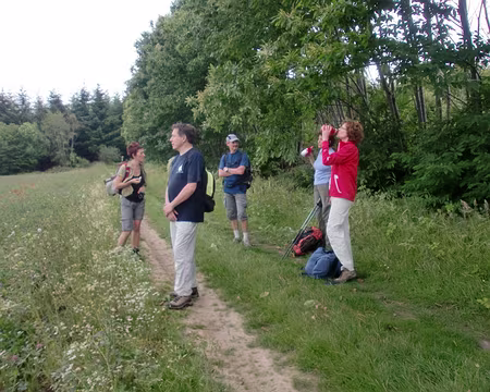 PXL052 Dernière halte champêtre