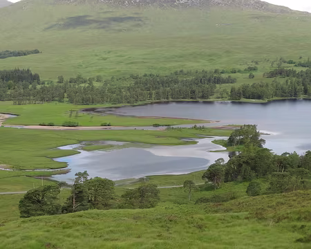 PXL034 Le lac Tulla bordé de pins écossais