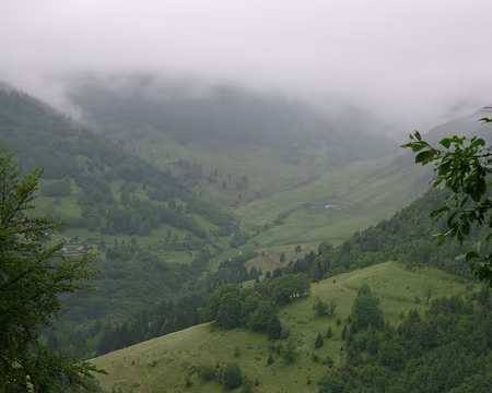 003 Le temps est plutôt humide.