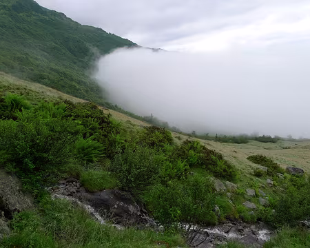 008 ... mais ils nous rattrappent !