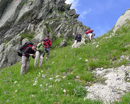 017 Descente du pas de la Mule, dans de raides pentes herbeuses.