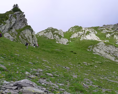 018 Descente du pas de la Mule, dans de raides pentes herbeuses.