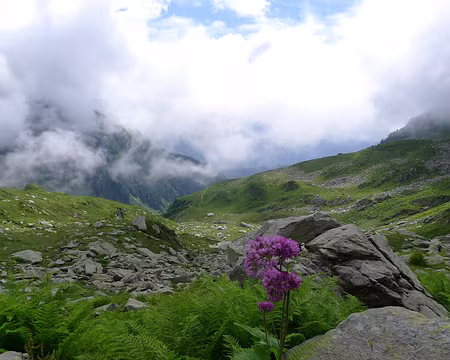 019 Les alpages des Pissus (!).