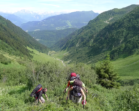 023 Il a fallu se battre avec les arcosses pour parvenir à la cabane d'Argentine (comme souvent en Lauzière, la carte indique un sentier qui a disparu) !
