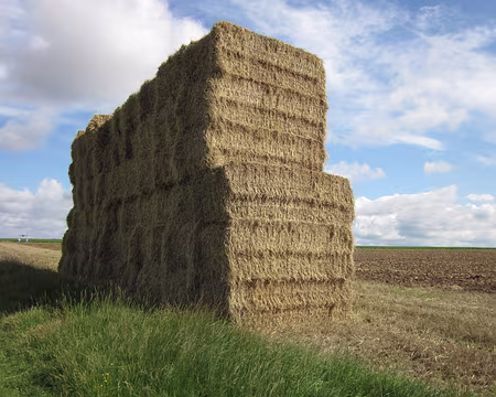 PXL018 Une saison sèche, cette année on crée des meules