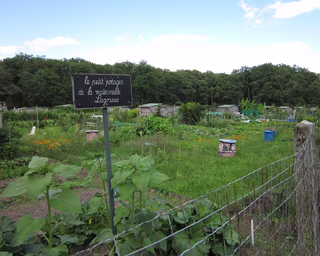 PXL033 Les jardins ouvriers de Fontainebleau.
