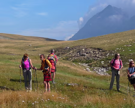 PXL036 On se demande ce qu'ils trafiquent dans tous les sens ? Ont-ils perdu le nord ?
