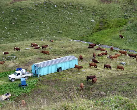 PXL040 15 h 00, l'heure de la traite.
