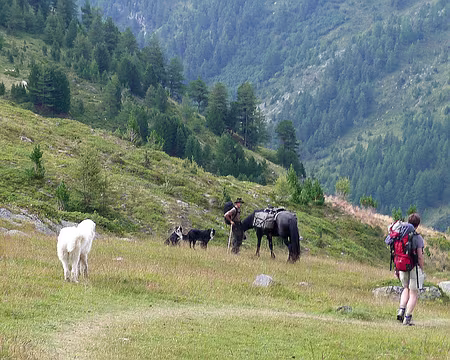 PXL063 Longue descente sur Modane