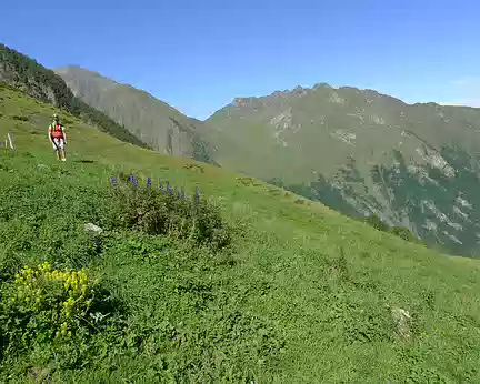 006 ... parcourir de vastes étendues de verdure (dans le vallon de Médassoles)