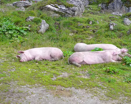 PXL043 Ils ne sont pas dans le groupe.