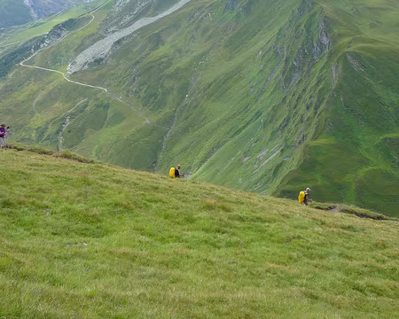 PXL053 verdure au sud
