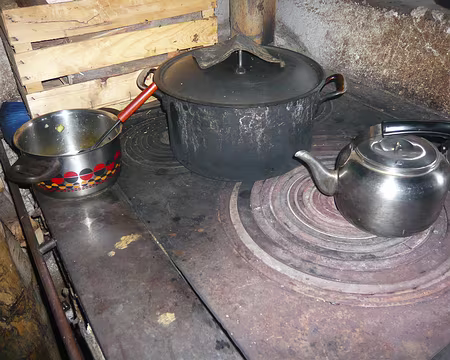 PXL083 Certains commencent à s'inquiéter du confort de la bergerie du soir ...