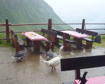 PXL084 Nous hésitons à repartir sous la pluie