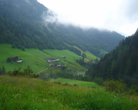 PXL085 Bien verte la vallée de Pfunders !