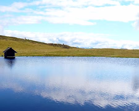 PXL109 la maison des cygnes