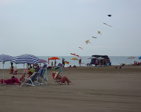 PXL235 Baignade au Lido