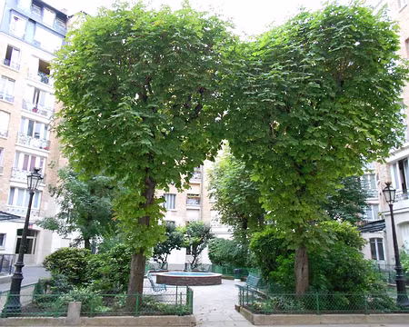 PXL018 Immeubles achevés en 1909.