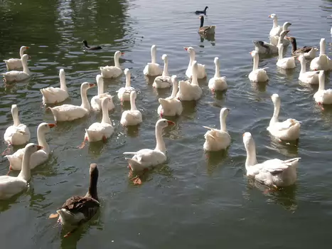 2011-08 Val d Essonne