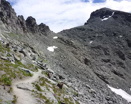 PXL007 8 Rencontre au col de la Traversette 2947m