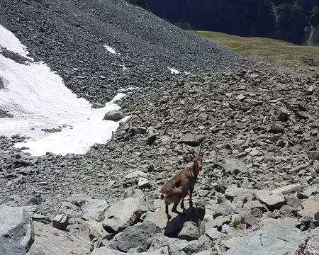 PXL008 9 Rencontre au col de la Traversette 2947m
