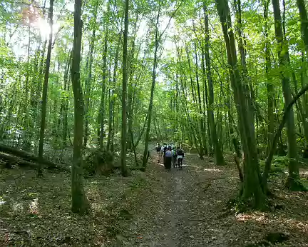 PXL004 Forêt de Dourdan