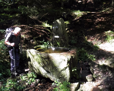 PXL003 fontaine près de Forbach avec une vasque en grès massif