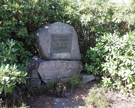 PXL006 près des Badener Höhe - hommage à Philipp Bussemer, créateur de la haute route de la Forêt Noire