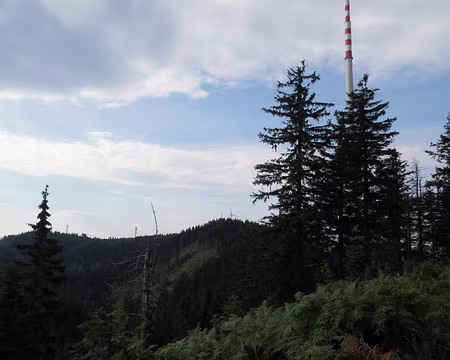 PXL012 A Oechsental, étape de la veille, vue vers le sommet Hornisgrinde