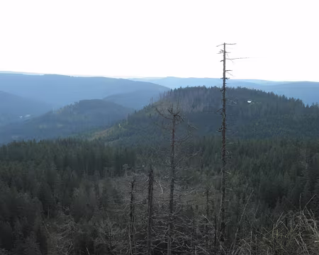 PXL013 au Hornisgrinde, vue sur la Forêt Noire vers le sud-est
