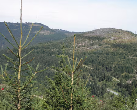 PXL025 les dégâts de Lothar dans les environs du sommet Seekopf