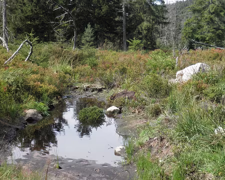 PXL030 ... entre autres pour les terrains humides des plateaux d'altitude
