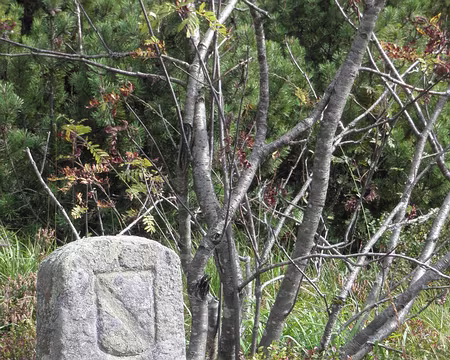 PXL036 borne de l'ancienne frontière entre les pays de Baden et du Württemberg, ici côté Baden