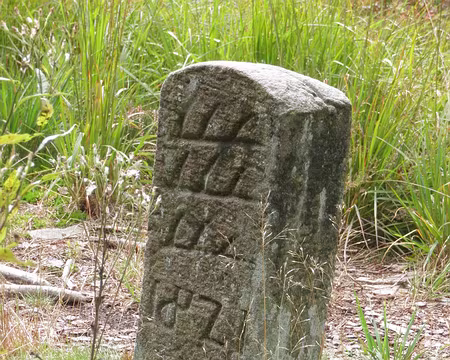 PXL038 côté Württemberg