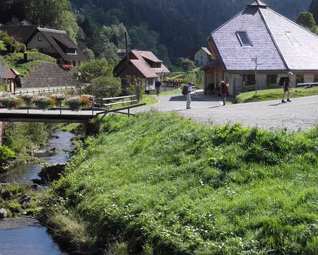 PXL055 la maison du bois