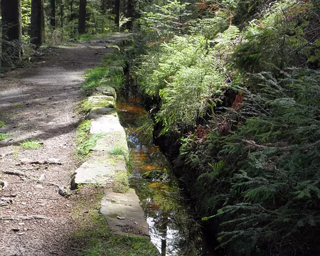 PXL065 l'eau qui en descend est canalisée