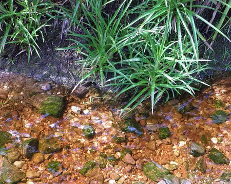 PXL066 normal la couleur de l'eau ???