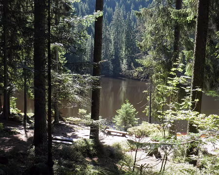 PXL071 le lac Glaswaldsee