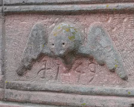 PXL081 une chauve-souris ? nous ne saurons pas.